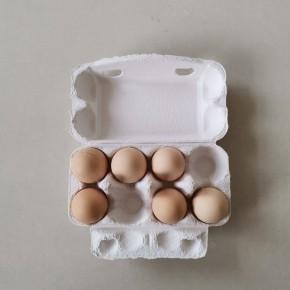 45元每个玉蒂可定制各种纸浆产品8枚鸡蛋盒20.